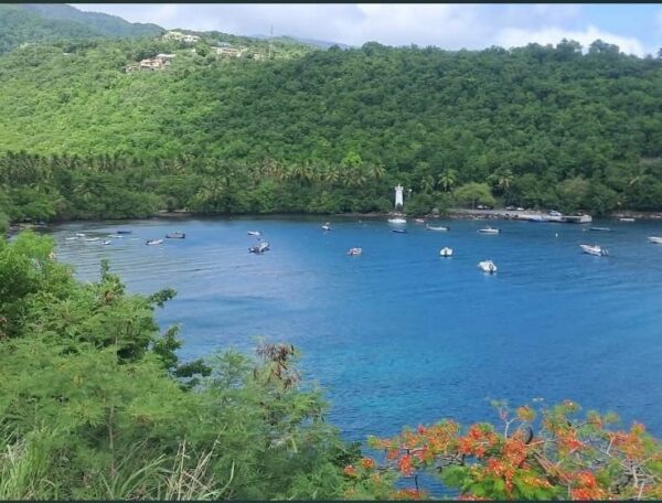 Des paysages magnifique